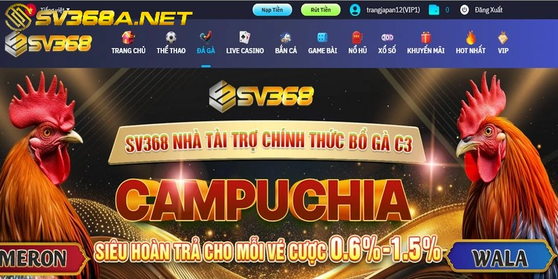 Đá gà SV368 mang đến cho bạn những trận đấu nảy lửa